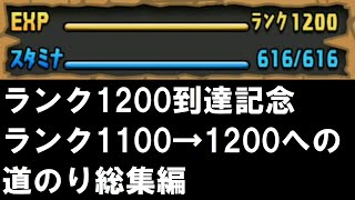 【パズドラ】ランク1100→1200への道のり総集編