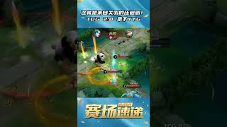 这就是来自关羽的压迫感！TCG2：0拿下YYG