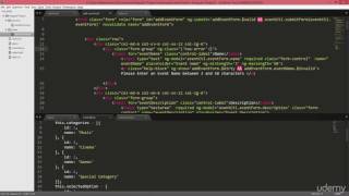 05 Angular Form Validation - 006 Cosmetic Changes Angular CSS for Validations ngClass