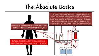 Hemodialysis Kinetics 101 01 The Absolute Basics