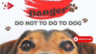 Things Not to Do to Dogs: Dangerous Mistakes to Avoid