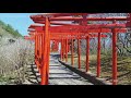 4k footage takayamainari shrine drone footage【drone_高山稲荷神社_4k】