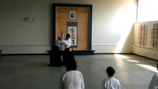 2014 Seminar with Shihan Donovan Waite at Naka Ima Aikikai