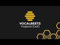 Vocalbeets - Tropical (Vocals Only + Daf) #halal #vocalsonly