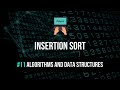 Insertion Sort Explained - Algorithms & Data Structures #11