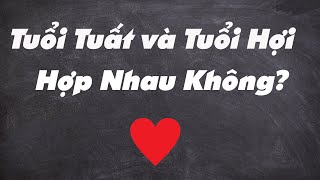 🔥(Xuất Sắc) Tuổi Tuất Và Tuổi Hợi Có Hợp Nhau Không?|Xem Tuổi Vợ Chồng Chuẩn Nhất|Tử Vi 365