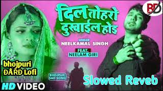 Dil Toharo Dukhail Hoi | #Neelkamal Singh | Latest Bhojpuri Sad Song 2022