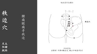 人体穴位175：秩边：腰痛腿痛寻秩边，用艾条温和灸秩边穴5～10分钟，1天1次，可改善阴部肿痛、下肢痿痹 20220116