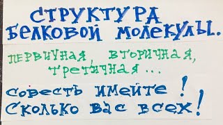 Структура белковой молекулы. Биохимия