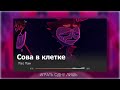 Аццкий Босс Сова в клетке