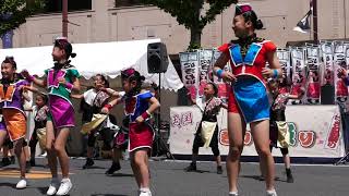 舞祭り総踊り②\