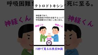 【ふぐの毒】15秒でわかるテトロドトキシン【ゆっくり解説】　#Shorts