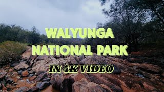 Walyunga National Park in 4K