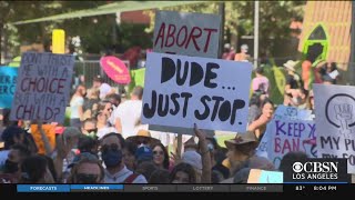 Women's Marches For Reproductive Rights Take Place Across Southland And Nation