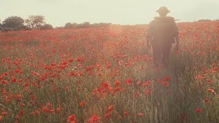 【花系群像混剪】-愿此时平淡，若彼时灿烂