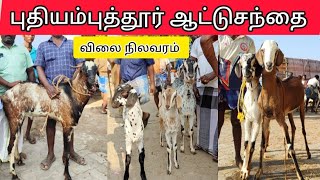 புதியம்புத்தூர் சந்தை goat's Market