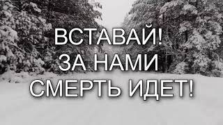 СИЛЬНАЯ ИСТОРИЯ С ПОЛЕЙ БЛАГОВЕСТИЯ.А. Н. ЗИНЧЕНКО