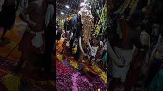 Navarathri Ezhunallathil Malayinkeezhu vallabhan