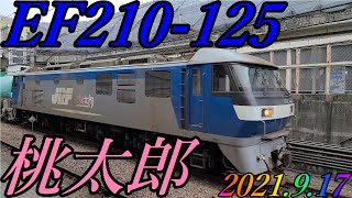 EF210-125号機が牽引する、8586レが府中本町駅を通過　2021.9.17