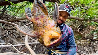 VOCÊS VÃO SE ASSUSTAR COM ESSE BICHO NA LINHA😱 Pescaria…