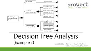 Example 2: Decision Tree Analysis