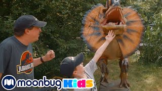 Dinosaurios en la Granja y Parque de Gulliver | Dinosarios s para Niños | Moonbu