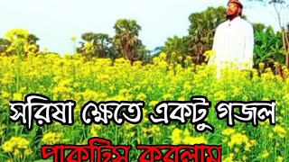 ষরিসা ক্ষেতে উর্দু গজল হালে দিল কিস কো শুনায়ে