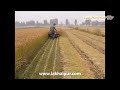 धान गेहूं कटाई करने की मशीन rice wheat ripper machine