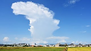 Dynamic Sky Show: A Day Filled with Explosive Cumulonimbus Clouds!【各地で積乱雲が乱立！】入道雲