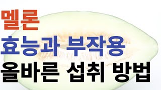 멜론의 효능과 부작용 올바른 섭취 방법