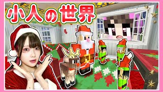 小人の世界でクリスマスを過ごしてみた！🎄🎁【マイクラ / マインクラフト / Minecraft】【たまちゃん】