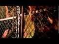 Daddy Yankee Ven Conmigo ft Prince Royce VEVO Video Official