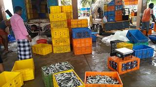 Traditional fish market in Perumathura,Trivandrum Kerala | Fishing village in Kerala