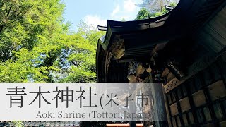 【青木神社へリモート参拝】木の神様にお参りしたら、敷地が米子市の天然記念物だった Aoki Shrine (Tottori,Japan)