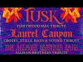 Performance: TUSK - A Fleetwood Mac Tribute Band | August 21st, 2021 | Live Music at Palatine Park