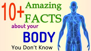 10+ Facts about Human Body | Amazing Body Facts | Interesting Facts