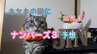 キセキの猫仁のナンバーズ３予想　2018.3