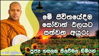 මේ ජීවිතයේදීම සෝවාන් ඵලයට පත්වන අයුරු  | පූජ්‍ය හසලක සීලවිමල හිමි | Ven. Hasalaka Seelawimala Thero