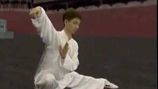 Simple Taiji Lesson Nine