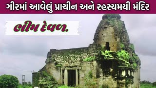 Gir Darshan.| ગીરમાં આવેલું રહસ્યમય મંદિર 'ભીમદેવળ' | Bhim Deval Prachi | @girbhomiyo