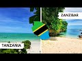 🇹🇿Exploring Zanzibar: Red Colobus Monkeys, Culture, Food, and History🇹🇿