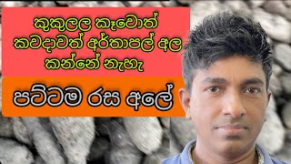 කුකුලල වගාකලොත් පට්ටම ලාභයක් ගන්න පුළුවන්