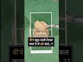 musli pak viral health