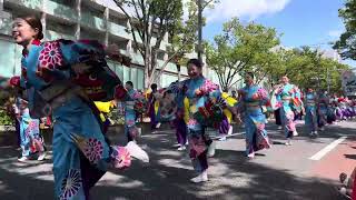 【七福よさこい連 祝禧】 原宿表参道元氣祭　スーパーよさこい2024