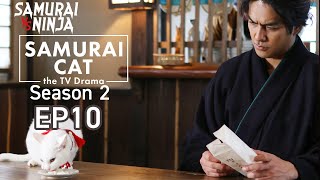 Samurai Cat Season 2 Full Episode 10 | SAMURAI VS NINJA | English Sub