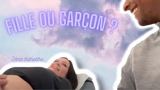 2ème TRIMESTRE GROSSESSE VLOG 🤰🏻🧸🍼 | Fille ou Garçon 😍