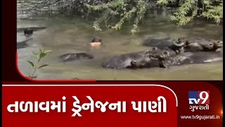 Ahmedabad: Lake in Lambha village overflows with drainage chemical water, farmers worried| TV9News