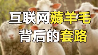 揭秘互联网公司薅羊毛背后的套路，一夜被薅100万RMB！【我是恬恬酱】