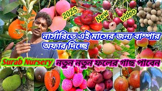 এই মাসের জন্য বাম্পার অফার দিচ্ছে। Surab Nursery | নতুন নতুন ফলের গাছ পাবেন