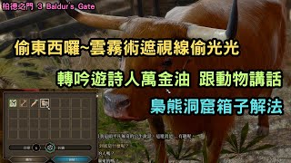 柏德之門 3 Baldur's Gate 偷東西囉~雲霧術遮視線偷光光 轉吟遊詩人萬金油 跟動物講話 梟熊洞窟箱子解法【阿天】